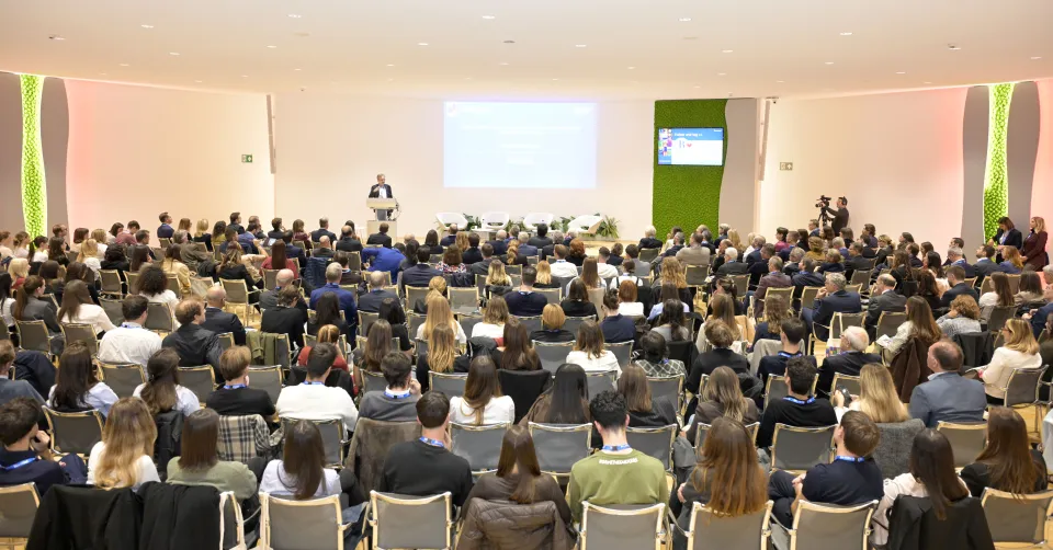 campari harvey chaplin chair