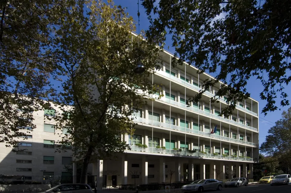 sarfatti 25